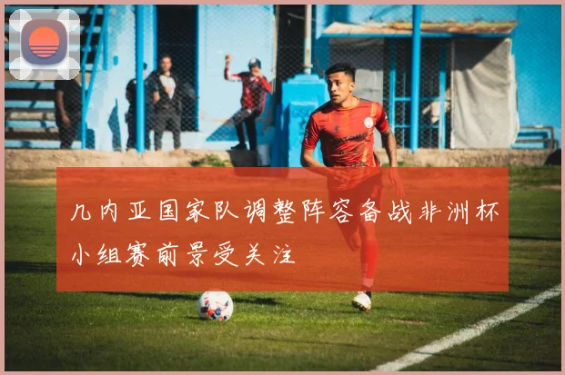 几内亚国家队调整阵容备战非洲杯小组赛前景受关注
