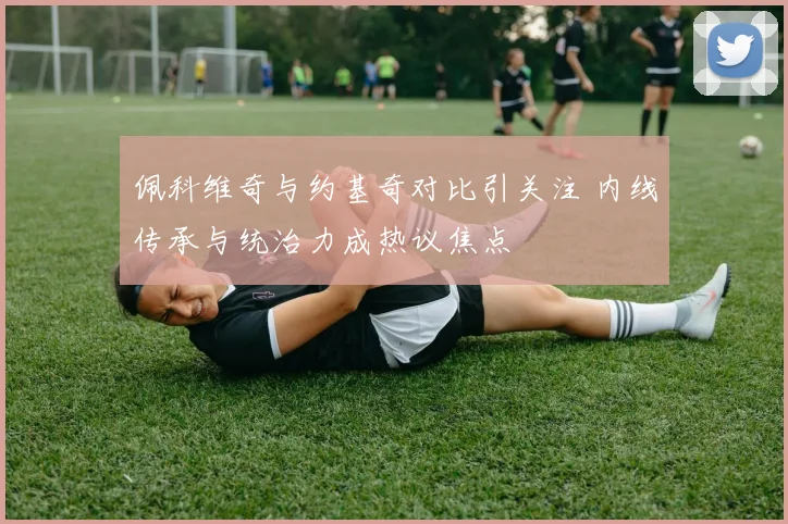 佩科维奇与约基奇对比引关注 内线传承与统治力成热议焦点