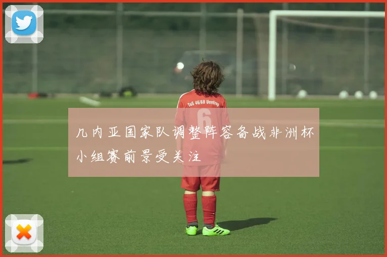 几内亚国家队调整阵容备战非洲杯小组赛前景受关注
