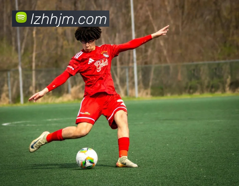 世界杯app官网平台生态图